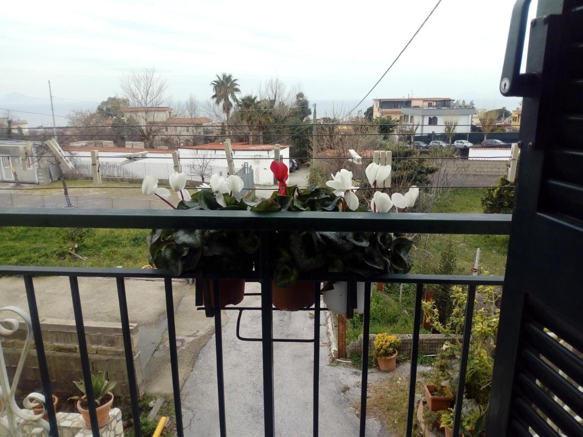 Casa Vacanze Da Rosy Ercolano Eksteriør bilde